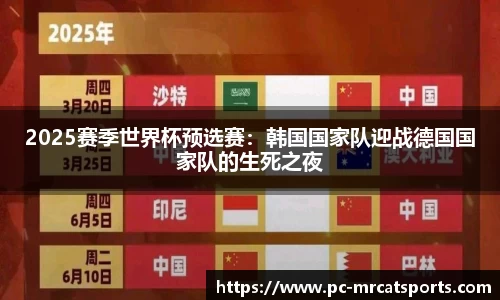 MRCAT猫先生体育APP