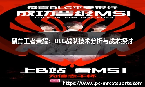 聚焦王者荣耀：BLG战队技术分析与战术探讨